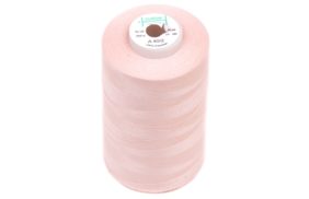 нитки швейные 100% pe 40/2 цв 1101 розовый грязный (боб 5000м) euron купить по 138 - в интернет - магазине Веллтекс | Липецк
.